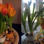 "All things move toward their end"/ "Herşey kendi sonuna doğru gider"