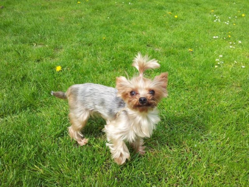 Frankendaal parkında Sherry / Meet Sherry in Frankendaalpark