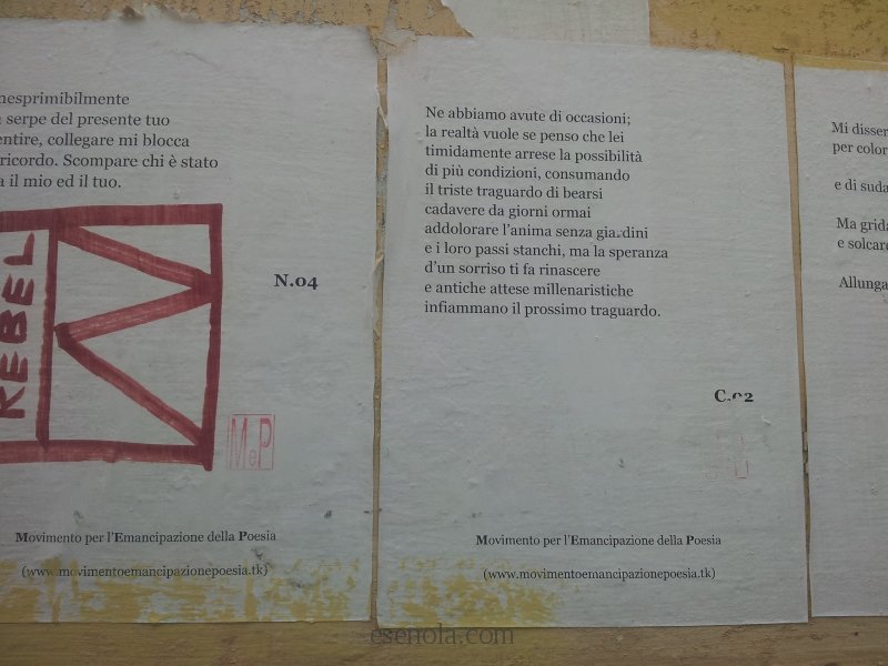 Floransa'da şiir/Poetry in Firenze